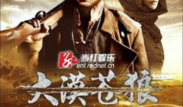 苍狼电视剧,烽火岁月里的铁血传奇